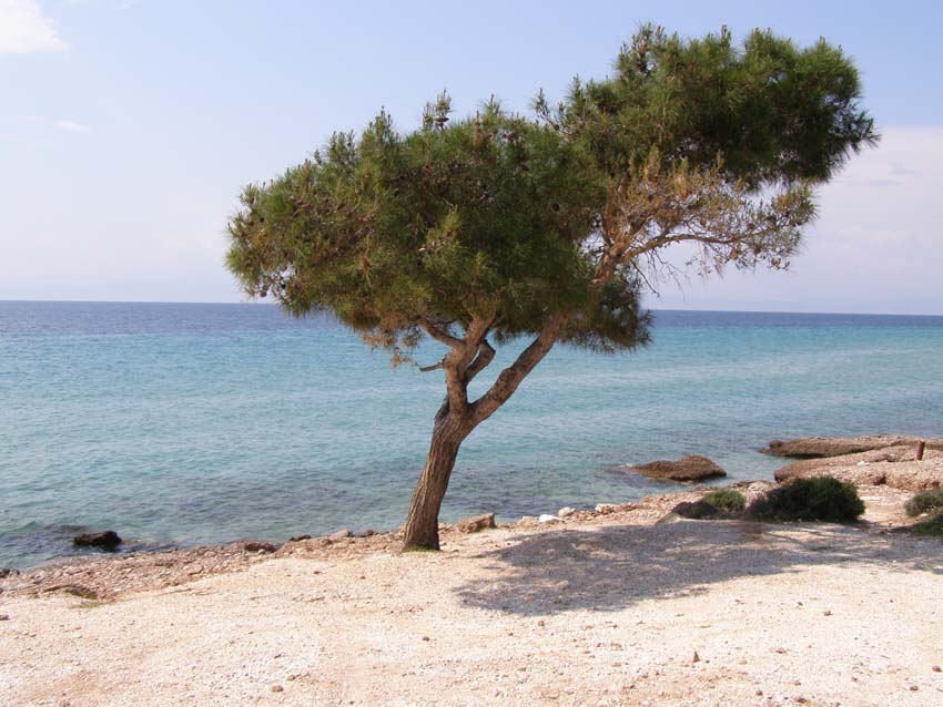 P5060495