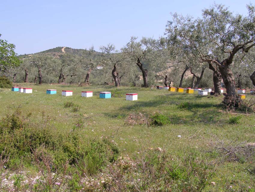 P5060498