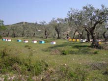 P5060497