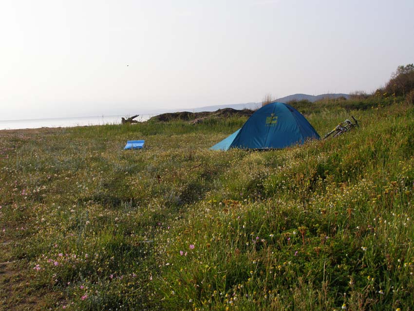 P5030165