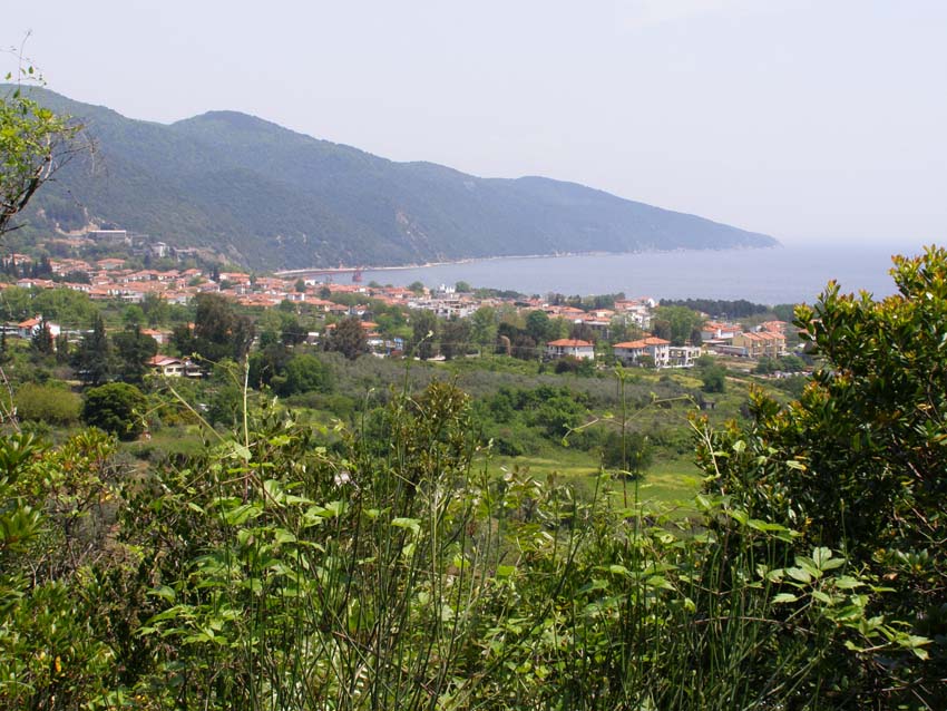 P5030224