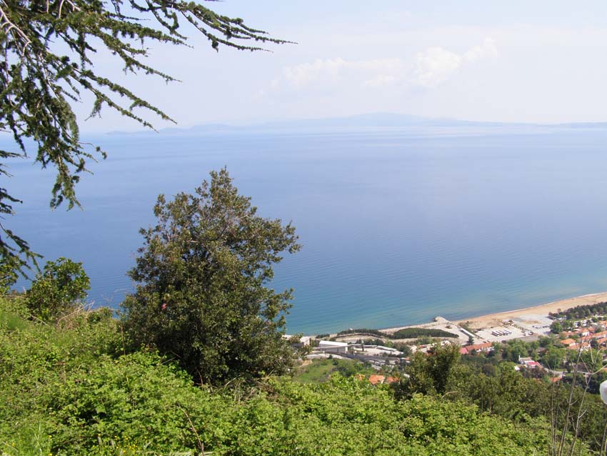 P5030238