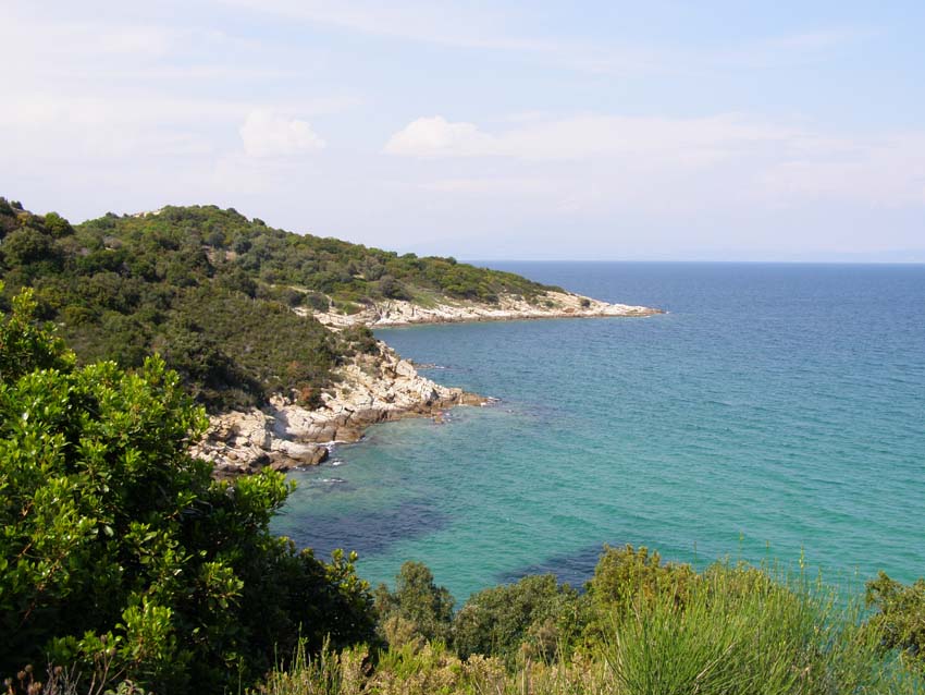 P5030247