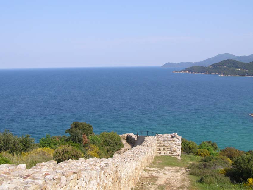 P5030254