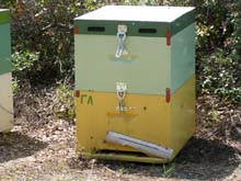P5030228