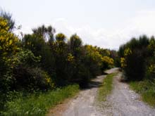 P5030230