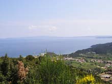 P5030231