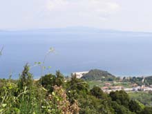P5030233