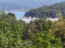 P5030240