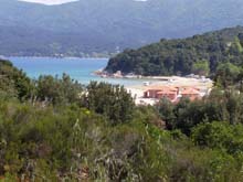 P5030241