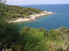P5030261