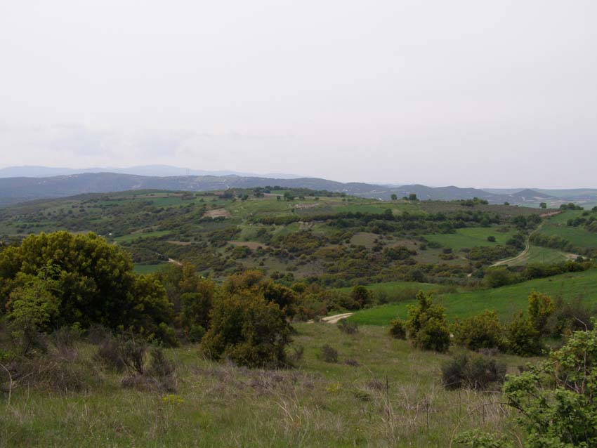 P5040323
