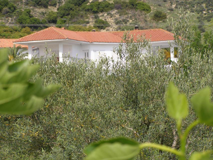P5040331