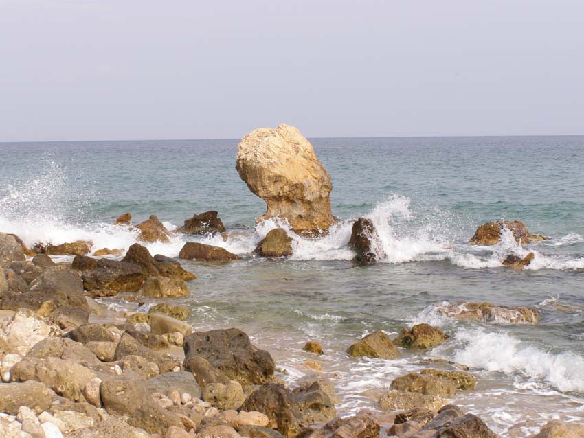 P5040337