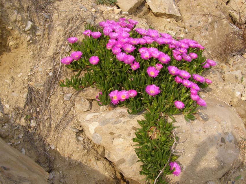 P5040338
