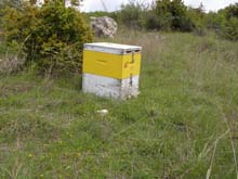 P5040326