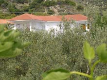 P5040331