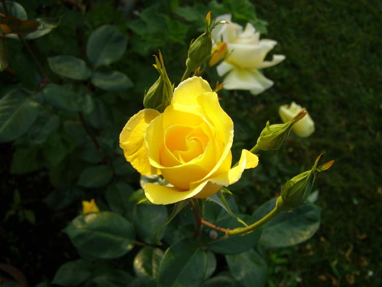 P6010308