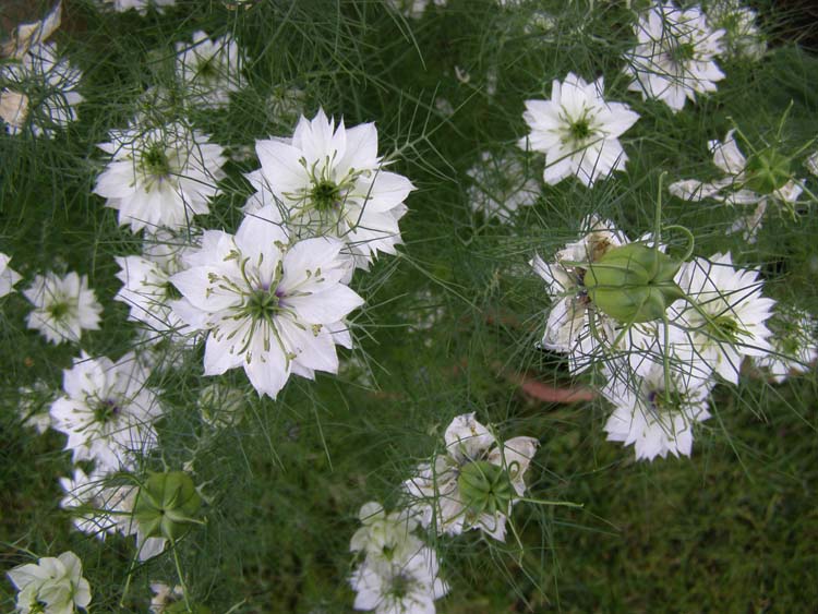 P6010329