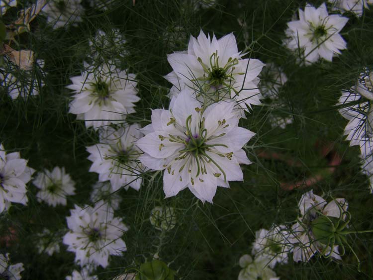 P6010330