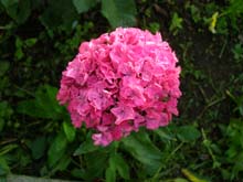 P6010324