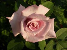 P6010326