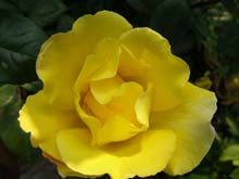 P6010327