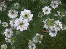 P6010329