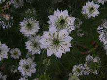 P6010330