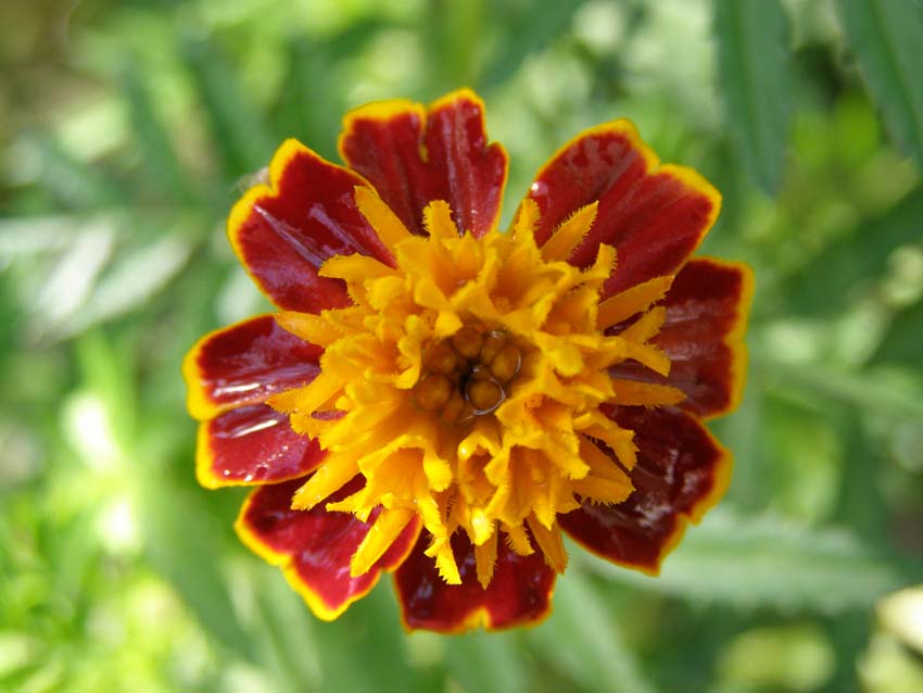 P9130395
