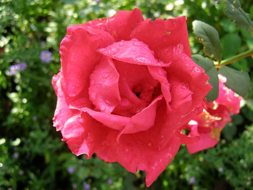 P9130407