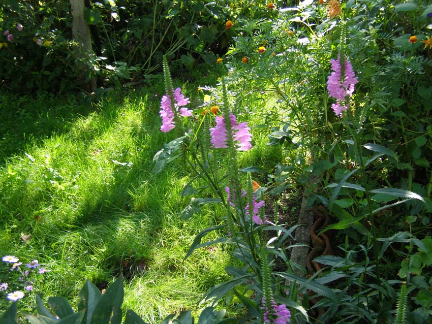 P9130409