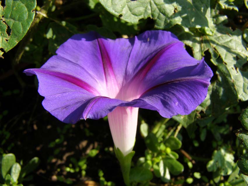 P9130412