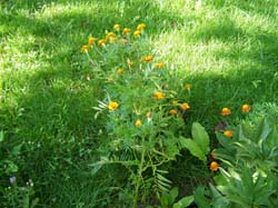 P9130406