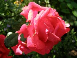 P9130408