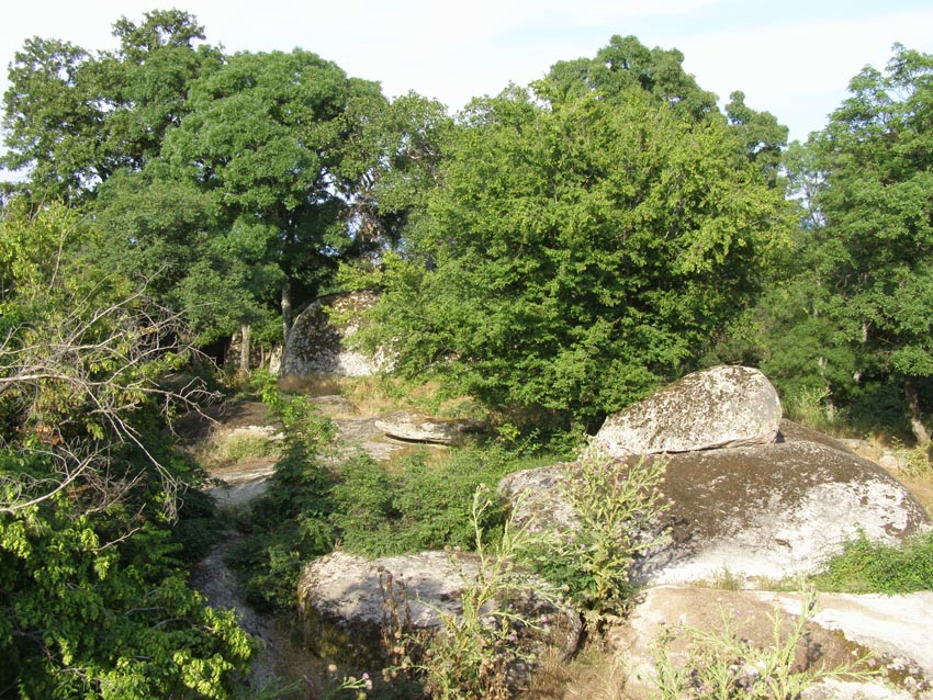 P6280146