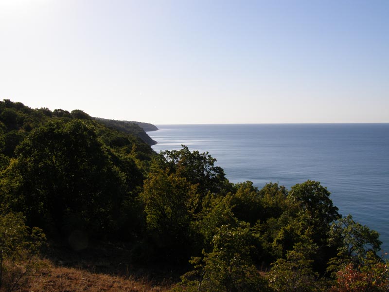 P7080018