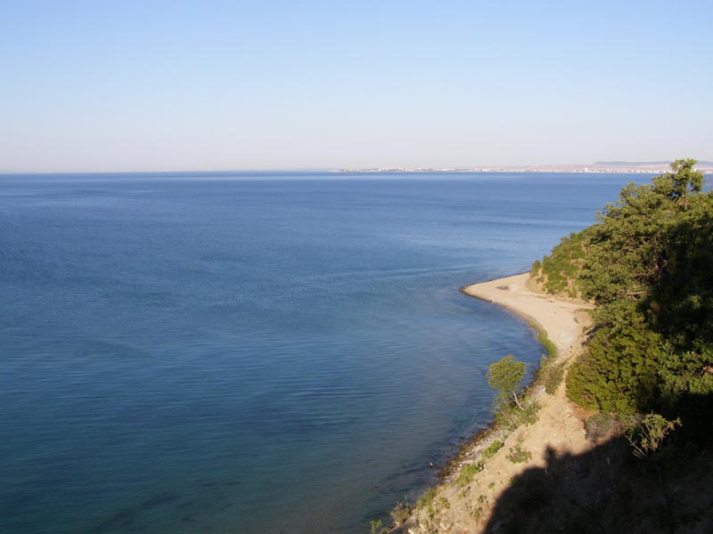 P7080019