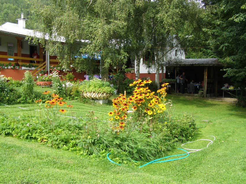 P8150005