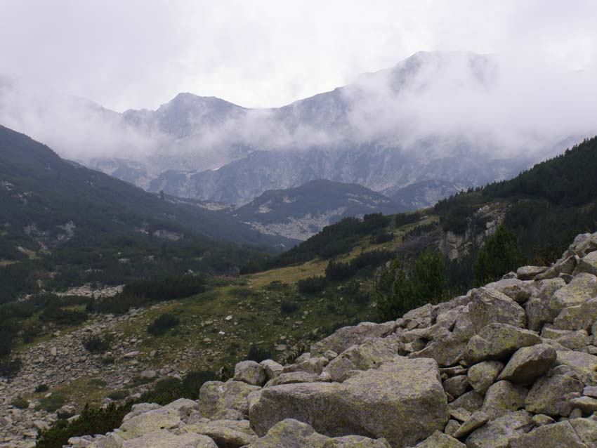 P8150011