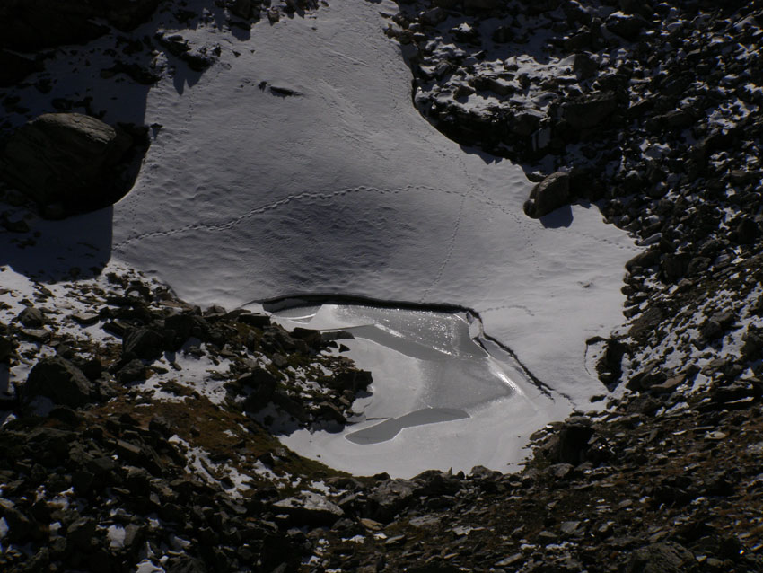 PB070394