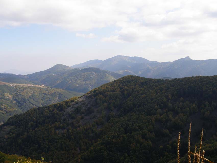 PA100260