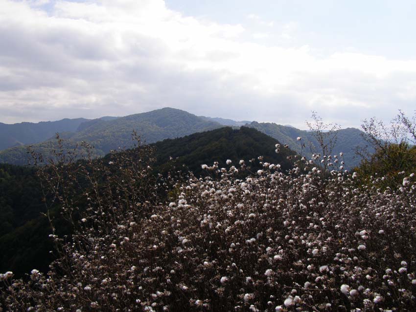 PA100261