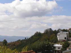 PA100271