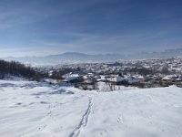 IMG 6953