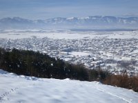 IMG 6958