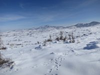 IMG 6959