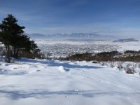 IMG 6960