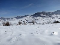 IMG 6963