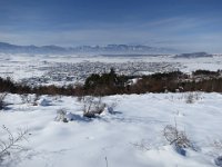 IMG 6968